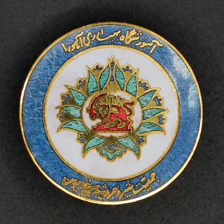 بچ سینه آموزشگاه بهیاری آهورا