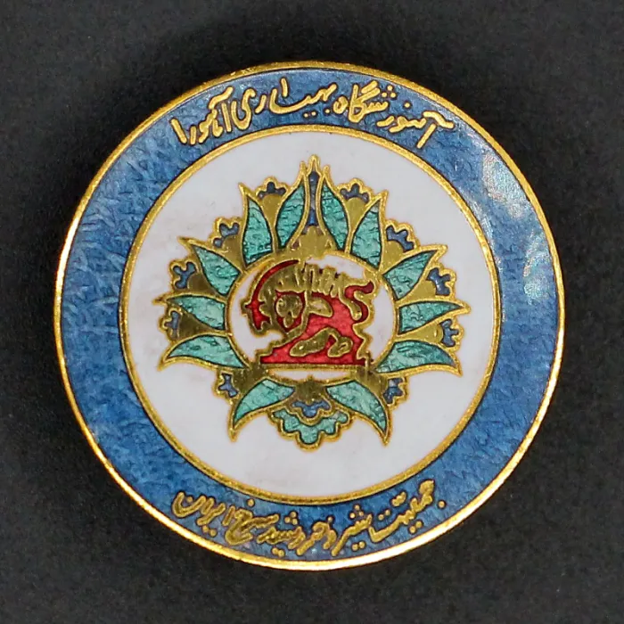 بچ سینه آموزشگاه بهیاری آهورا