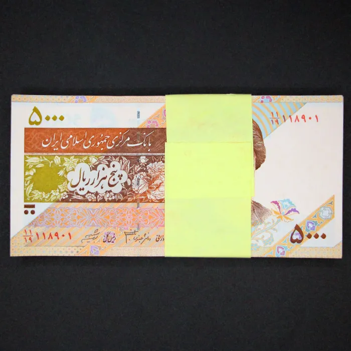 بسته یک تا صد 5000 ریال جمهوری اسلامی - شماره قشنگ 119000