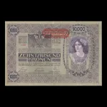 اسکناس 10000 کرون جمهوری آلمان-اتریش
