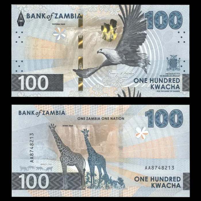 اسکناس 100 کواچا زامبیا