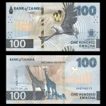 اسکناس 100 کواچا زامبیا